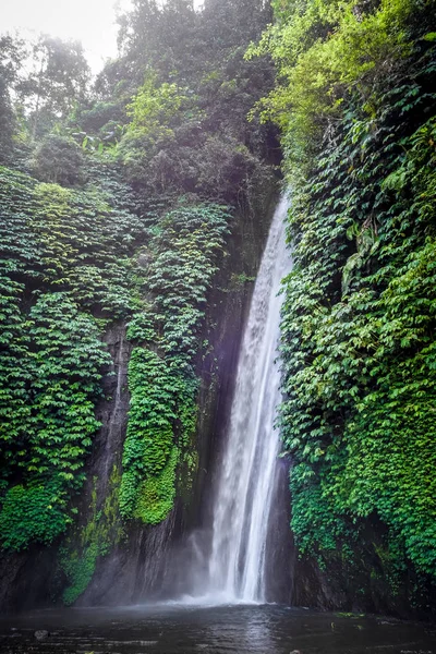 Cachoeira Coral Vermelho Munduk Bali Indonésia — Fotografia de Stock