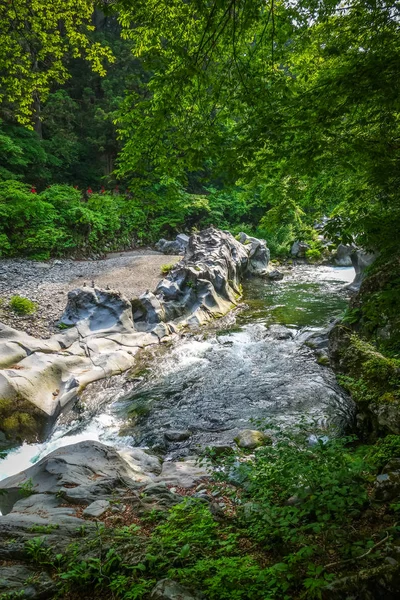 Sitio Abismo Kanmangafuchi Daiyagawa Río Nikko Japón — Foto de Stock