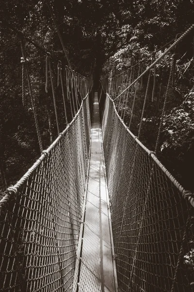 马来西亚塔曼内加拉国家公园悬索桥 — 图库照片