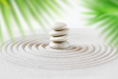 Palmiye yaprakları arkasında kum taş kazık. Zen Japon bahçesi