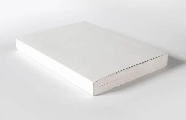 Libro Blanco Cerrado Maqueta Aislado Gris —  Fotos de Stock