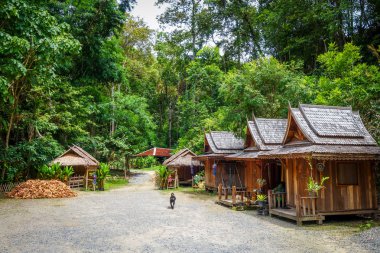 WAT Palad tapınak binaları, Chiang Mai, Tayland