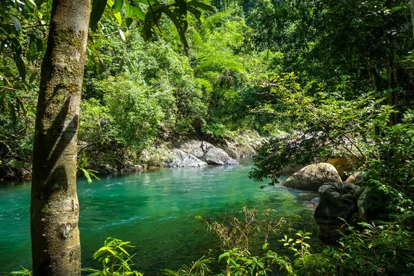 Rio na floresta tropical da selva, Khao Sok, Tailândia — Fotografia de Stock