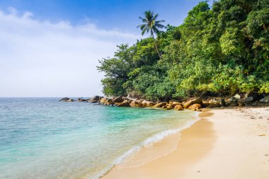 Turtle Beach, Perhentian Adaları, Terengganu, Malezya