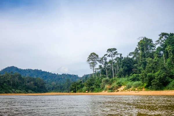 Fluss und Dschungel im taman negara Nationalpark, Malaysia — Stockfoto