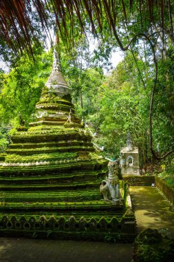 Wat Palad Temple stupa, Chiang Mai, Tayland