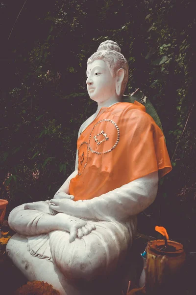 Statua di Buddha nella giungla, Wat Palad, Chiang Mai, Thailandia — Foto Stock