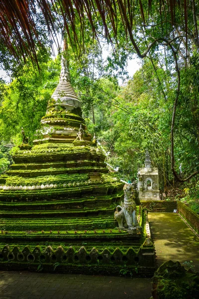 Temple Wat Palad stupa, Chiang Mai, Thaïlande — Photo