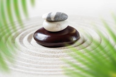Zen doğal Japon bahçe arka plan