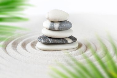 Zen doğal Japon bahçe arka plan