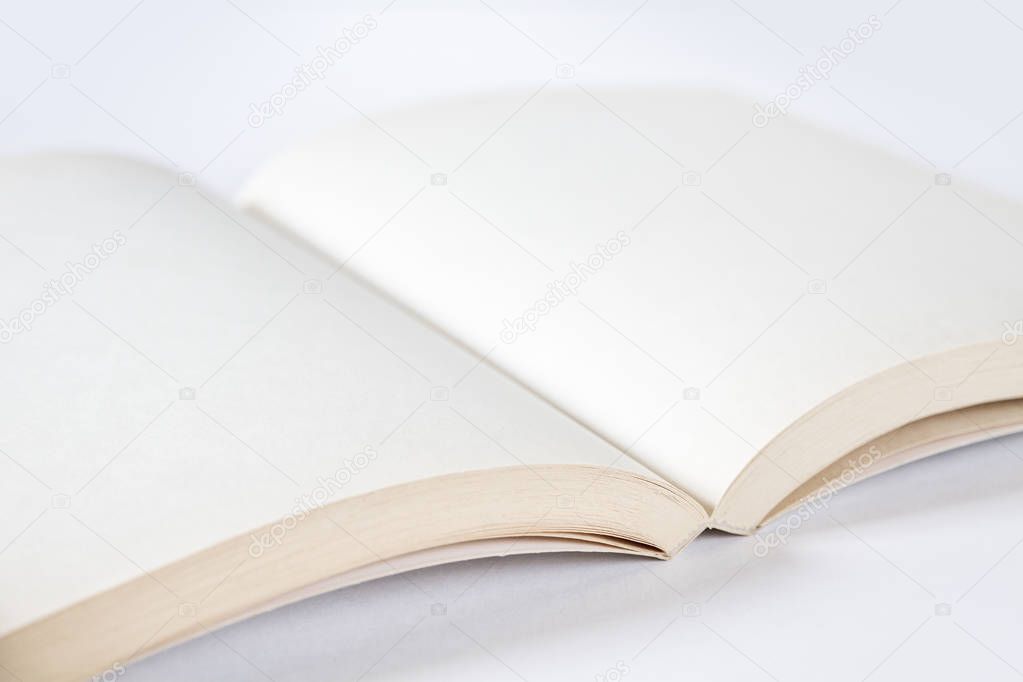 Open blank book mockup