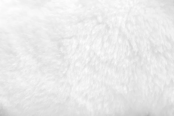 White fur background close up view — Stock Photo, Image