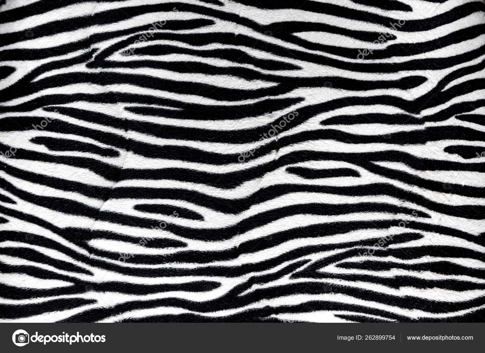 Zebra fur background texture Stock Photo by ©daboost 262899754