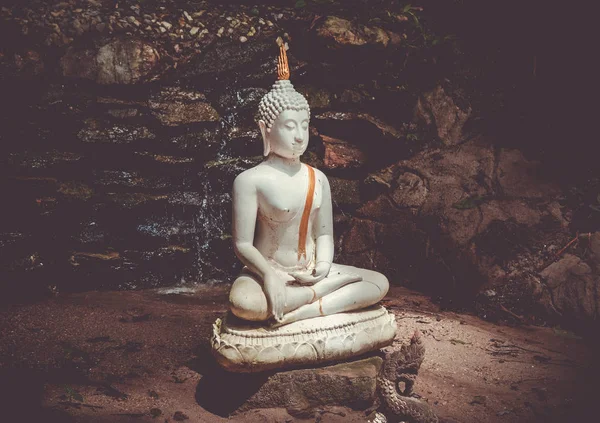 Estátua de Buda na selva, Wat Palad, Chiang Mai, Tailândia — Fotografia de Stock