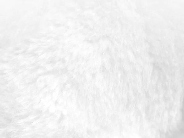White fur background close up view
