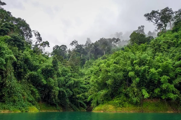 Misty morgon på Cheow LAN Lake, Khao Sok National Park, thailan — Stockfoto