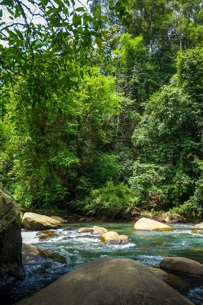 River in jungle rainforest, Khao Sok, Thailand — Stock Photo, Image