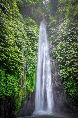 Kırmızı Mercan Şelalesi, Munduk, Bali, Endonezya
