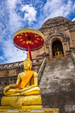 Altın Buda, Wat Chedi Luang tapınağı büyük Stupa, Chiang Mai, Thail