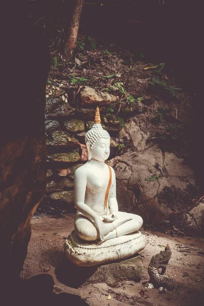 Статуя Будды в джунглях, Ват Палад, Чиангмай, Таиланд — стоковое фото