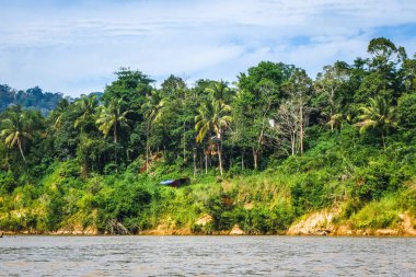 Nehir ve orman-Taman Negara Milli Parkı, Malezya