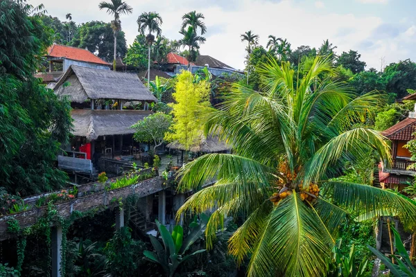 Házak a dzsungelben, Ubud, Bali, Indonézia — Stock Fotó
