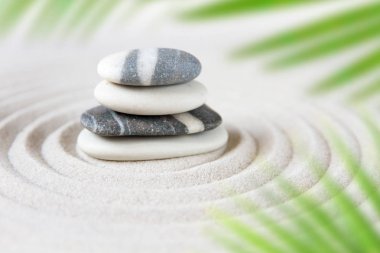 Zen doğal Japon bahçe arka plan