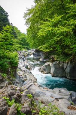 kanmangafuchi uçurum, nikko, Japonya