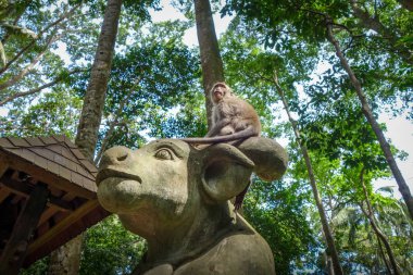 Maymun Ormanı 'nda bir inek heykeli üzerinde maymun, Ubud, Bali, Indones