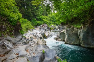 kanmangafuchi uçurum, nikko, Japonya