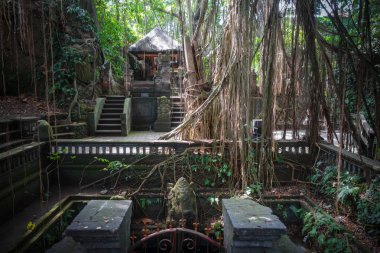 Maymun Ormanındaki Tapınak, Ubud, Bali, Endonezya