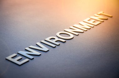 Sözcük ortamı beyaz katı harflerle yazıldı