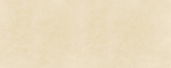 Recycled parchment paper texture background. Banner Vintage wallpaper