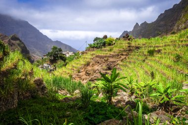 Santo Antao adasındaki Paul Valley manzarası, Cape Verde, Afrika