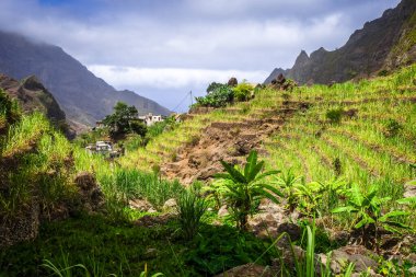 Paul Valley landscape in Santo Antao island, Cape Verde, Africa clipart