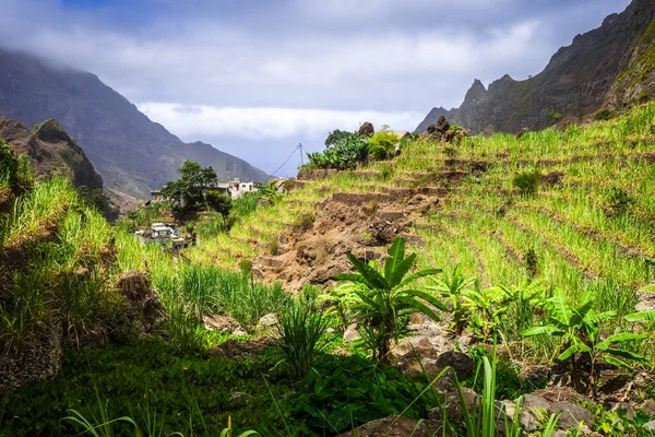 Krajobraz Doliny Pawła Wyspie Santo Antao Wyspy Zielonego Przylądka Afryka — Zdjęcie stockowe