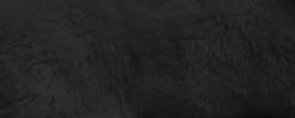 黒い毛皮の背景を閉じるビュー バナー壁紙 — ストック写真