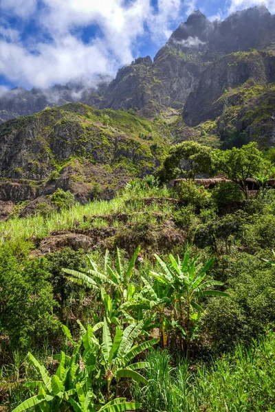 Paul Valley Τοπίο Στο Νησί Santo Antao Πράσινο Ακρωτήριο Αφρική — Φωτογραφία Αρχείου