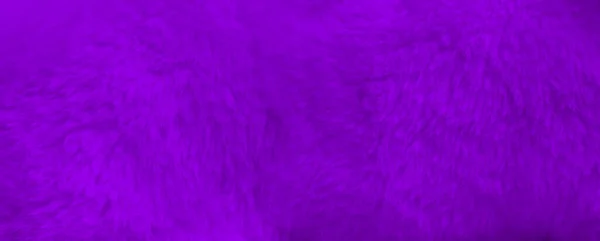 Purpurowe Futro Tło Zbliżenie Widok Tapeta Banerowa — Zdjęcie stockowe