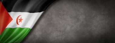 Sahra Arap Demokratik Cumhuriyeti bayrağı beton duvarda. Yatay panoramik pankart. 3B illüstrasyon
