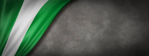 Bandera Nigeria Muro Hormigón Banner Panorámico Horizontal Ilustración — Foto de Stock
