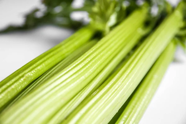 Selderie Tak Bos Geïsoleerd Witte Achtergrond Close Upzicht — Stockfoto