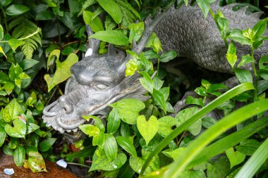 Japonya 'nın Enoshima Adası' ndaki yemyeşil yemyeşil yapraklardan bir bronz ejderha çeşmesi çıkar. Açık ağzından yavaşça su akar.