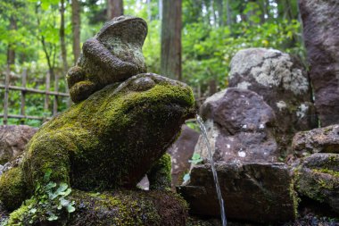 Japonya 'nın Takayama kentindeki Higashiyama yürüyüş parkurunda ormanla çevrili taş kurbağa çeşmesi.