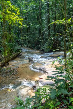 Berrak su, Tentena, Sulawesi, Endonezya yakınlarındaki yağmur ormanlarındaki yemyeşil tropikal bitki örtüsüyle çevrili kayaların üzerinden akar ve barışçıl bir atmosfer yaratır.