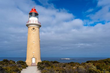 Cape Du Couedic deniz feneri Avustralya 'nın Kanguru Adası' ndaki Flinders Chase Ulusal Parkı 'nda kıyı bitkilerinin arasında yer alır. Kırmızı ve beyaz tepesi bulutlu gökyüzü ile çelişiyor.
