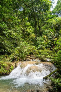 Berrak su, Tentena, Sulawesi, Endonezya yakınlarındaki yağmur ormanlarındaki yemyeşil tropikal bitki örtüsüyle çevrili kayaların üzerinden akar ve barışçıl bir atmosfer yaratır.