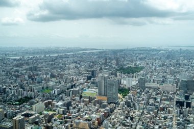 Tokyo 'nun geniş bir hava perspektifi yoğun bir şehir manzarasını gözler önüne seriyor, nehirler, köprüler ve puslu ufka doğru uzanan sayısız binalar.