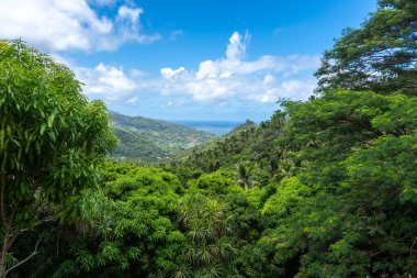 Atuona Körfezi, Hiva Oa, Fransız Polinezyası 'na bakan dağları kaplayan verimli tropikal orman. Göz kamaştırıcı yeşil tepeler, palmiye ağaçları ve uzak okyanus manzarası.