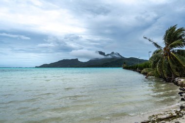 Palmiye ağaçlarıyla kaplı bir sahilden Bora Bora adasının manzarası Fransız Polinezyası 'nda mükemmel bir tropik cennet sunuyor.
